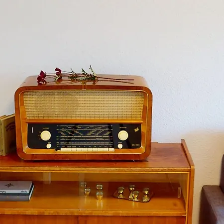 Vintage-flair Gemeinsam Geniessen, Oepnv Fusslaeufig Erreichbar Apartment Chemnitz